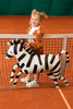 Balon foliowy Zebra, 115x85 cm, mix