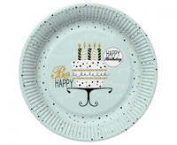 Talerzyki papierowe Mint and Happy B-day, 18 cm, 8 szt.