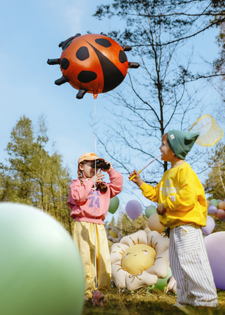 Balon foliowy Biedronka, 85x83 cm, mix