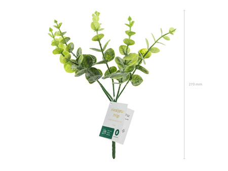 Gałązka Eukaliptus, 27 cm